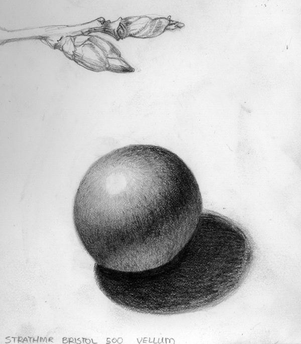 Orb Drawing Picture