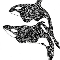 Orca Drawing Intricate Artwork