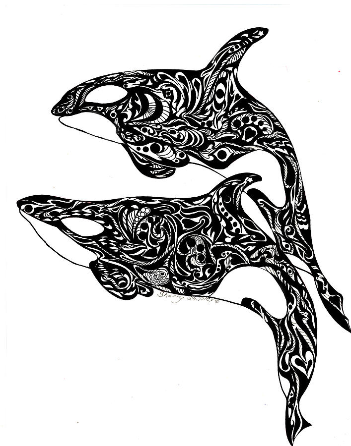 Orca Drawing Intricate Artwork