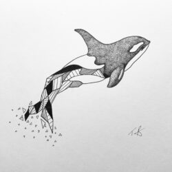 Orca Drawing Modern Sketch