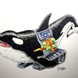 Orca Drawing Unique Art