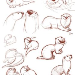 Otter Drawing Hand Drawn