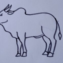 Ox Drawing Picture