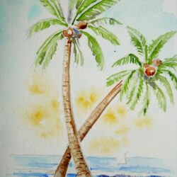 Palm Trees Drawing