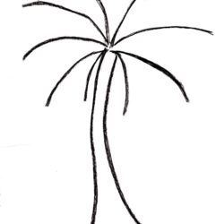 Palm Trees Drawing Art