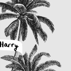 Palm Trees Drawing Creative Style