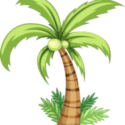 Palm Trees Drawing Detailed Sketch