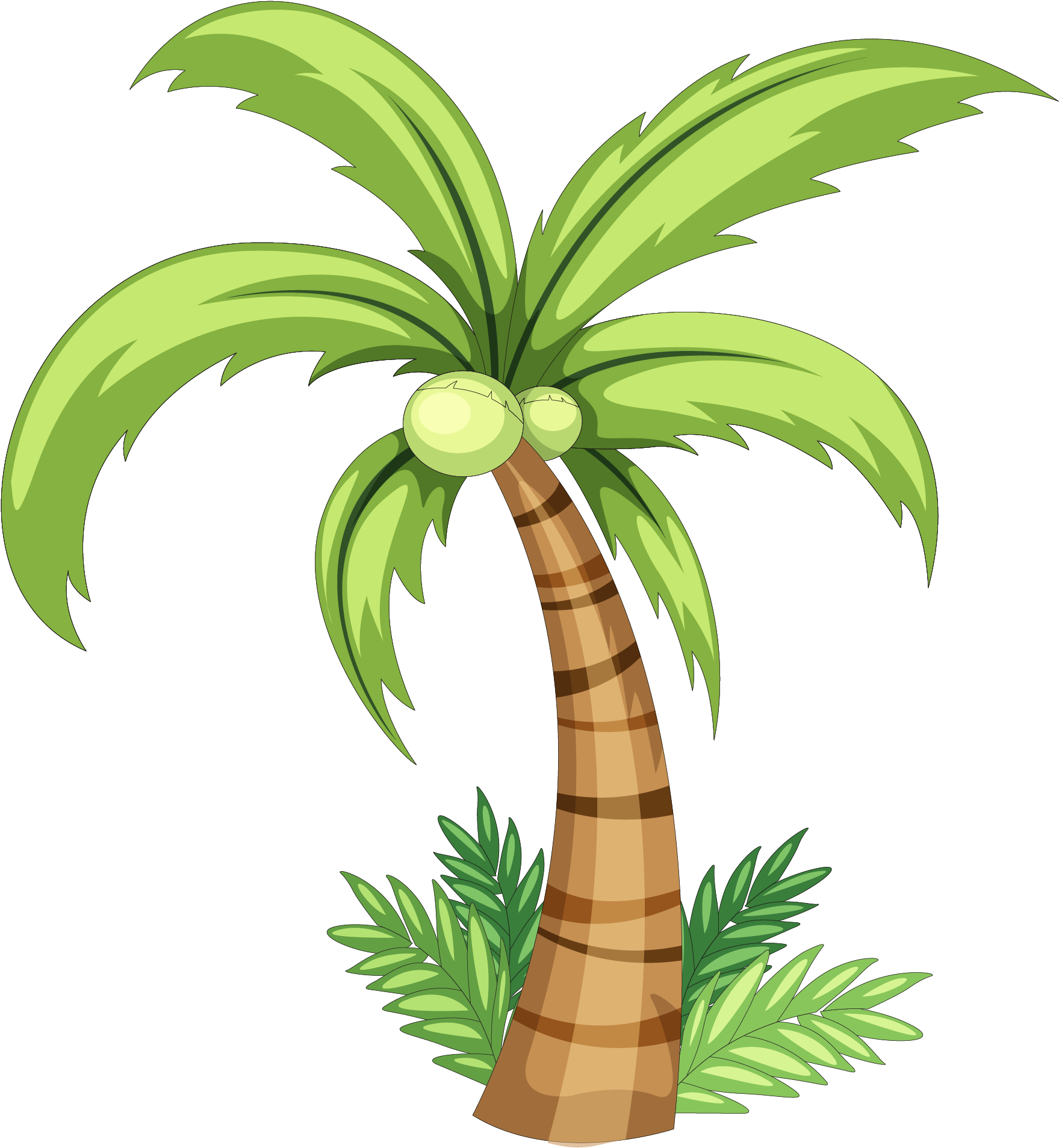Palm Trees Drawing Detailed Sketch