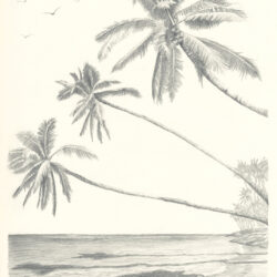 Palm Trees Drawing Photo