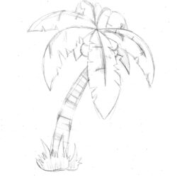 Palm Trees Drawing Sketch