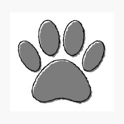 Paw Drawing