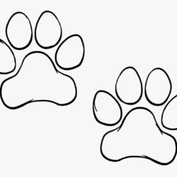 Paw Drawing Fine Art