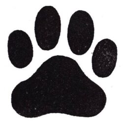 Paw Drawing Hand drawn