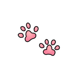 Paw Drawing Picture