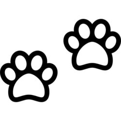 Paw Drawing Professional Artwork