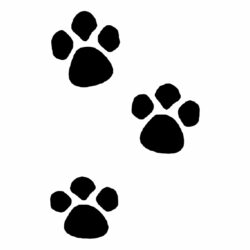 Paw Drawing Sketch