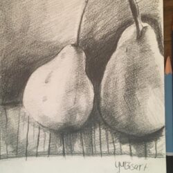 Pear Drawing Art