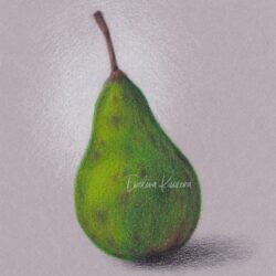 Pear Drawing Artistic Sketching