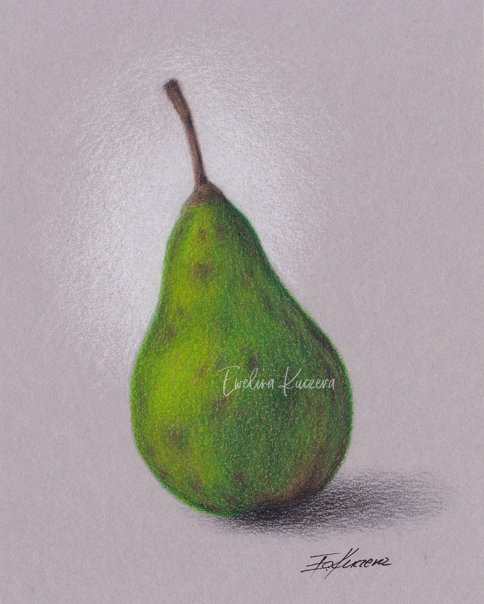 Pear Drawing Artistic Sketching