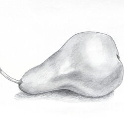 Pear Drawing Creative Style