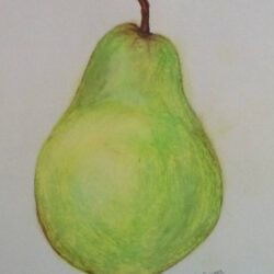 Pear Drawing Hand drawn