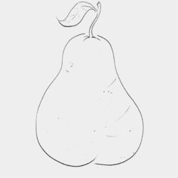 Pear Drawing Hand drawn Sketch