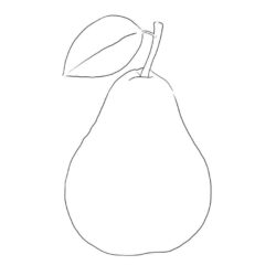 Pear Drawing Intricate Artwork