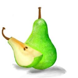 Pear Drawing Realistic Sketch