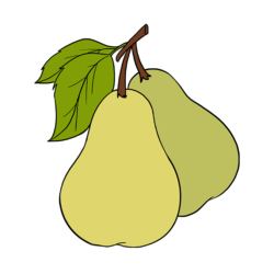 Pear Drawing Sketch