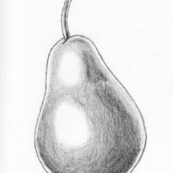 Pear Drawing Unique Art