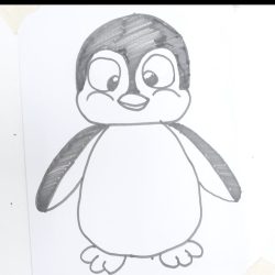 Penguin Cartoon Drawing Realistic Sketch
