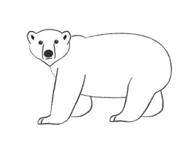 Polar Bear, Endangered Species, Arctic Habitat, Climate Change, Conservation Efforts Drawing