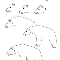 Polar Bear Drawing Intricate Artwork