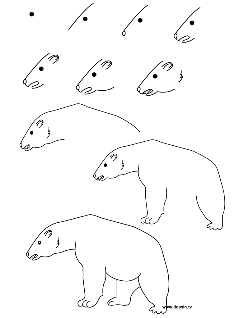 Polar Bear Drawing Intricate Artwork