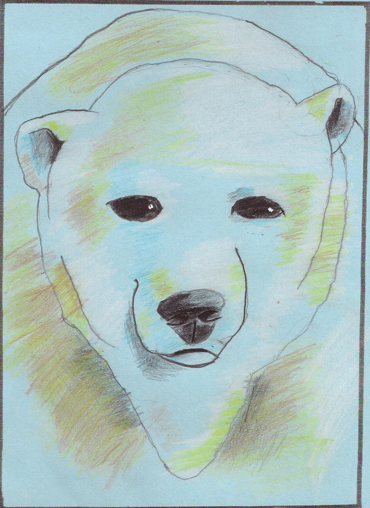 Polar Bear Drawing Realistic Sketch