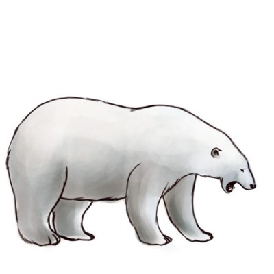 Polar Bear, Arctic Habitat, Climate Change, Ice Floes, Endangered Species Drawing