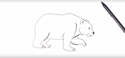 Polar Bear, Endangered Species, Arctic Habitat, Ice Environment, Climate Change Drawing