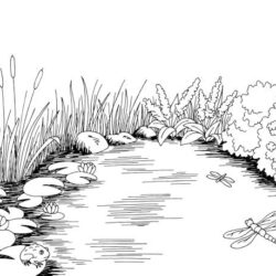 Pond Drawing Artistic Sketching