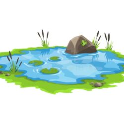 Pond Drawing Detailed Sketch