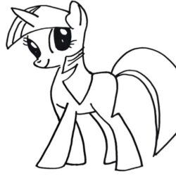 Pony Drawing Hand Drawn