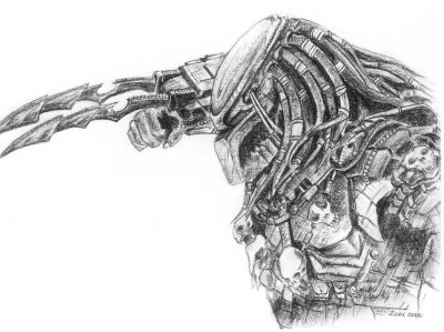 Predator, Survival, Fear, Stealth, Hunt Drawing