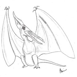 Pterodactyl Drawing Creative Style