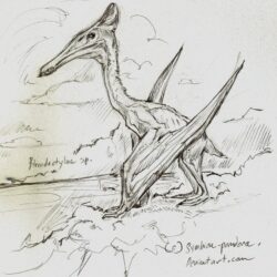 Pterodactyl Drawing Detailed Sketch