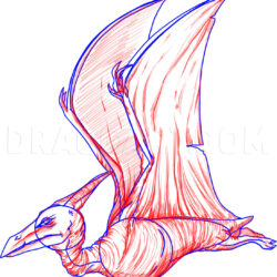 Pterodactyl Drawing Hand Drawn