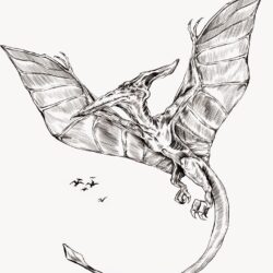 Pterodactyl Drawing Hand Drawn Sketch