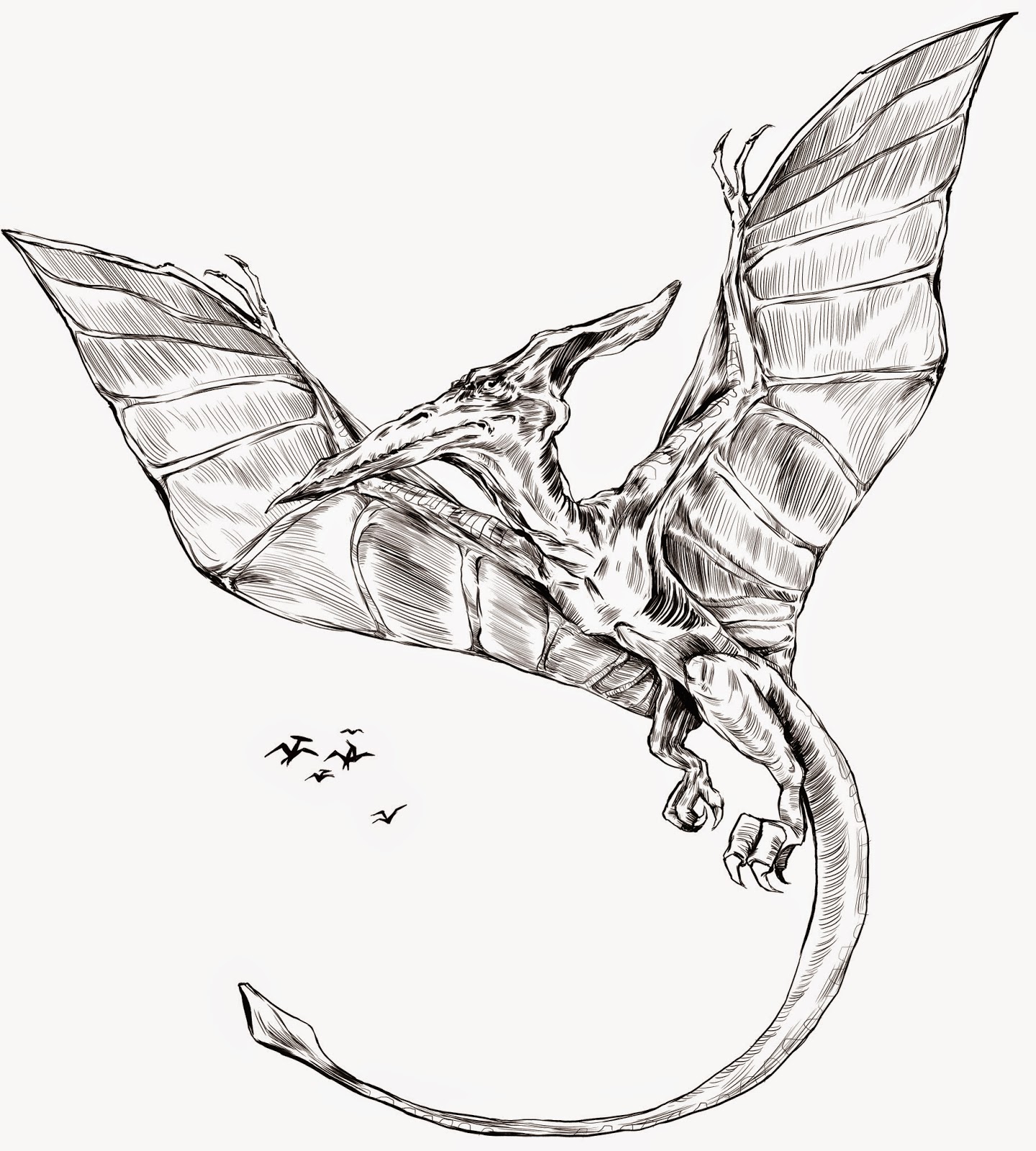 Pterodactyl Drawing Hand Drawn Sketch