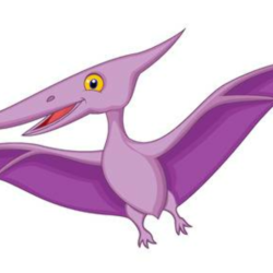 Pterodactyl Drawing Picture