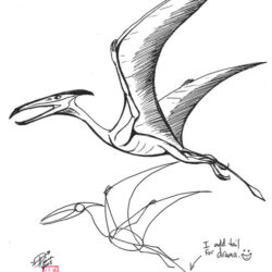 Pterodactyl Drawing Realistic Sketch