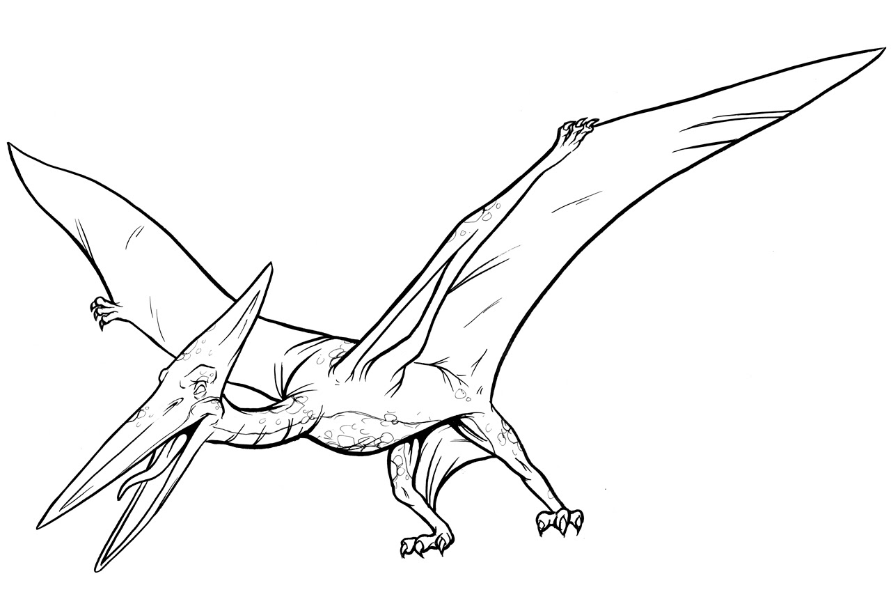 Pterodactyl Drawing Sketch