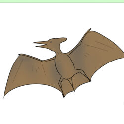 Pterodactyl Drawing Stunning Sketch